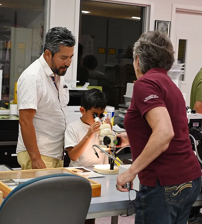 Bohart Museum director Lynn Kimsey (foreground) explains what Davis residents Francisco Flores and son Azeez, 6, are seeing. (Photo by Kathy Keatley Garvey)
