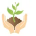 EFG-ICONS-NURTURE