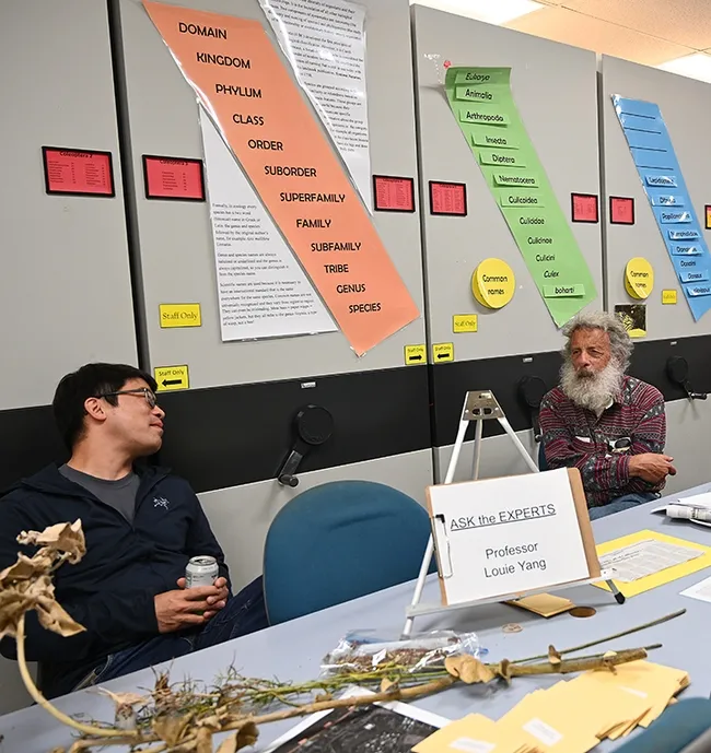 Professor Louie Yang (left) of the UC Davis Department of Entomology and Nematology, chats with UC Davis distinguished professor emeritus Art Shapiro of the Department of Evolution and Ecology during the Bohart Museum's open house on monarchs. (Photo by Kathy Keatley Garvey)