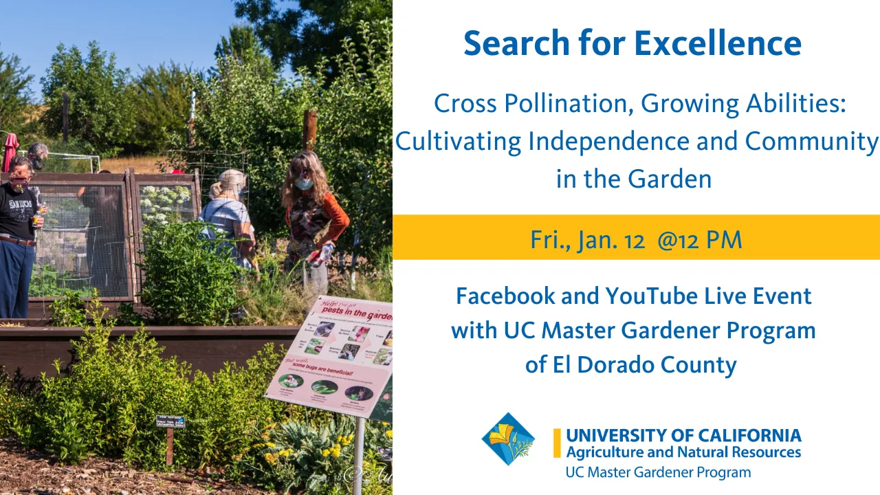 Search for Excellence 1.12.24