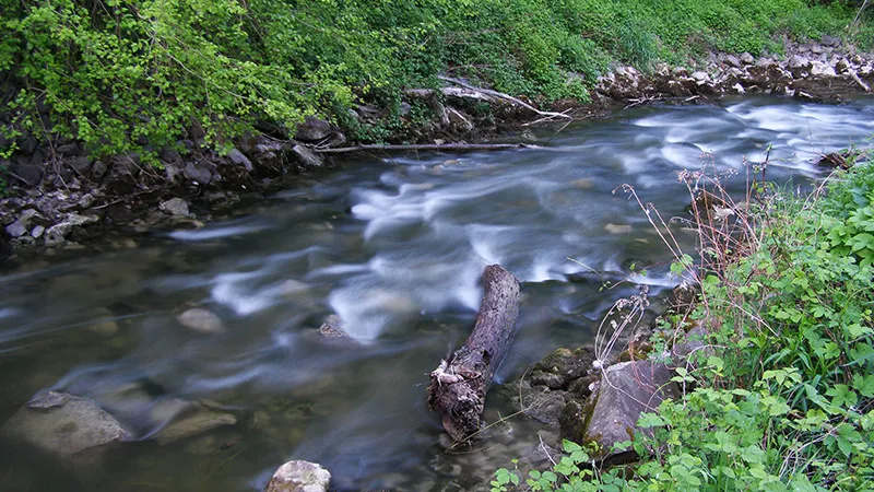 Pesticides and fertilizers that enter our waterways can be deadly to aquatic organisms. Credit: Pxhere