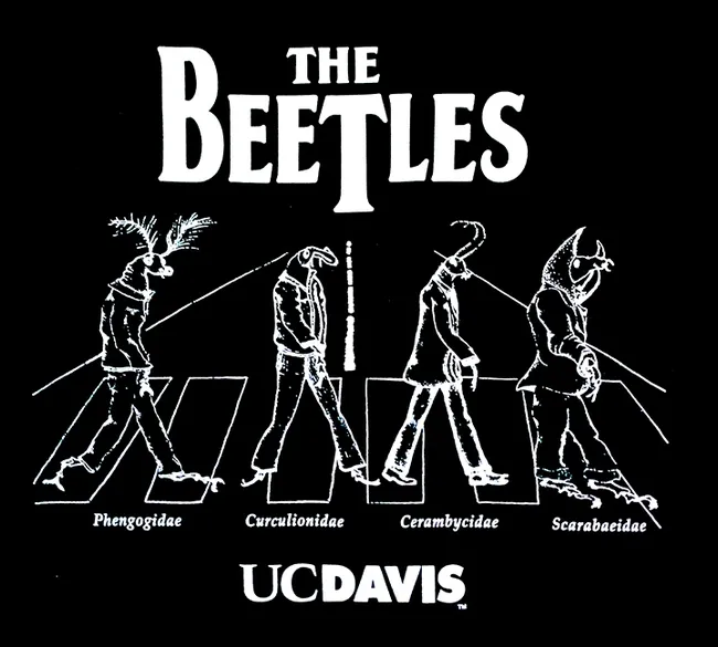 A close up of the UC Davis Entomology Graduate Student Association's all-time best-selling T-shirt, "The Beetles." Each image bears the family name: Phengogidae, Curculionidae, Cerambycidae and Scarabaeidae.