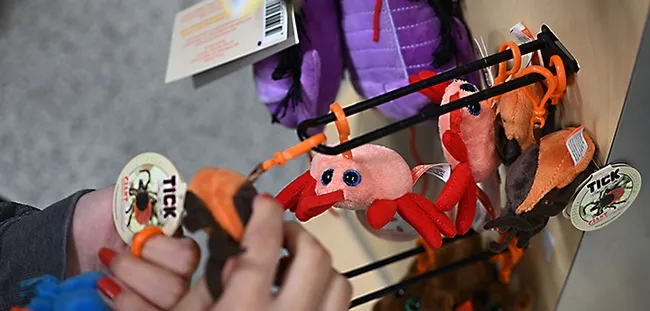 These ticks, plush toy stuffed animals, are plentiful in the Bohart Museum of Entomology gift shop. (Photo by Kathy Keatley Garvey)
