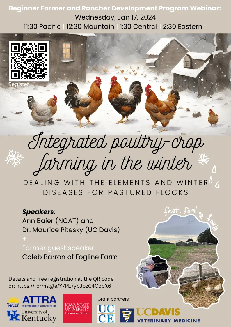 BFRDP Webinar 4 flyer