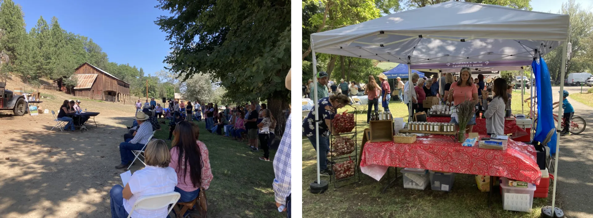 Panel discussion and tradeshow