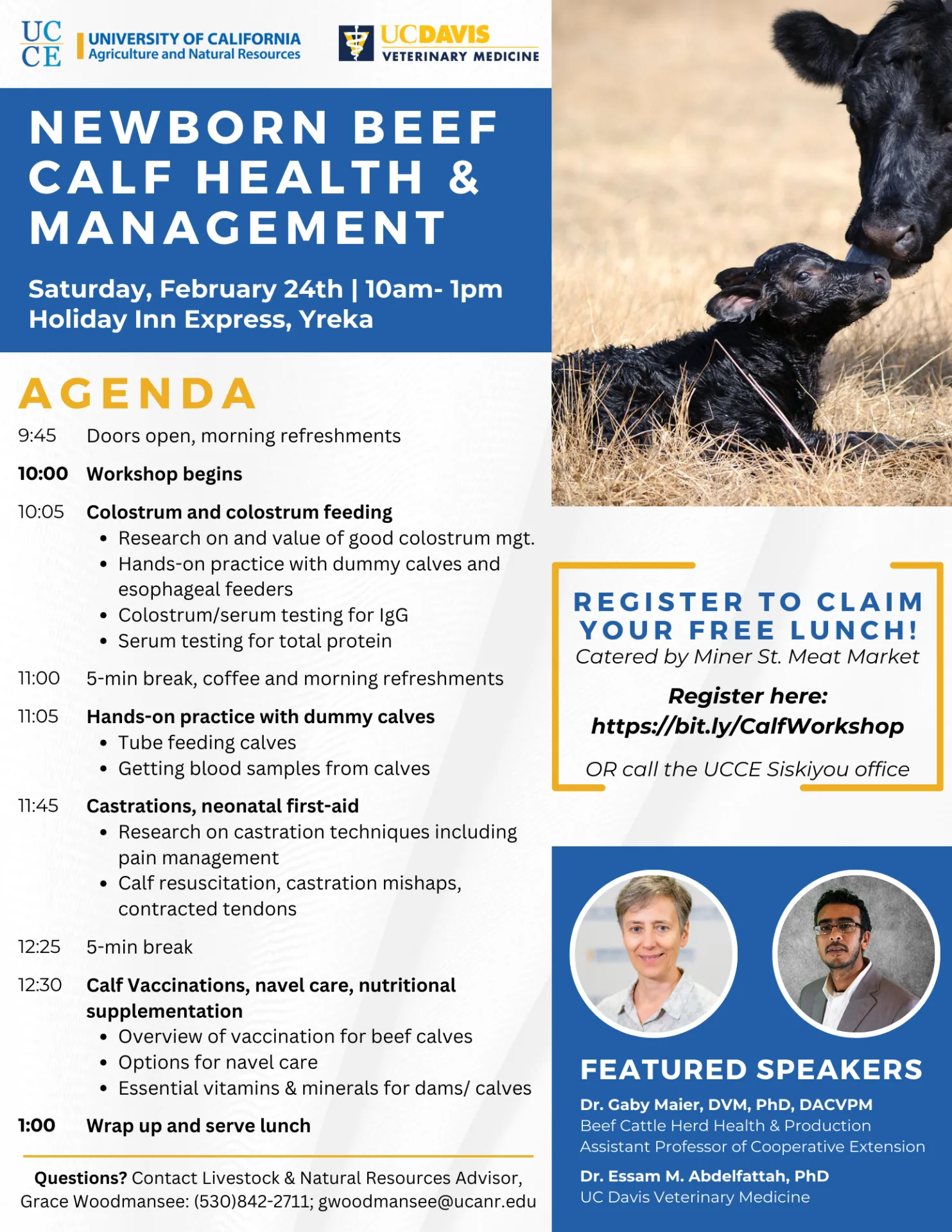 Newborn Beef Calf Health and Management