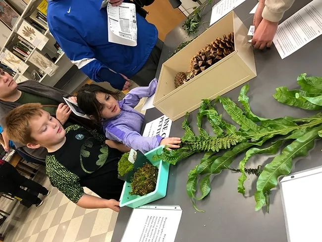 The Center for Plant Diversity creates a "petting zoo" at which folks can pet a pine cone. (Photo by Kathy Keatley Garvey)