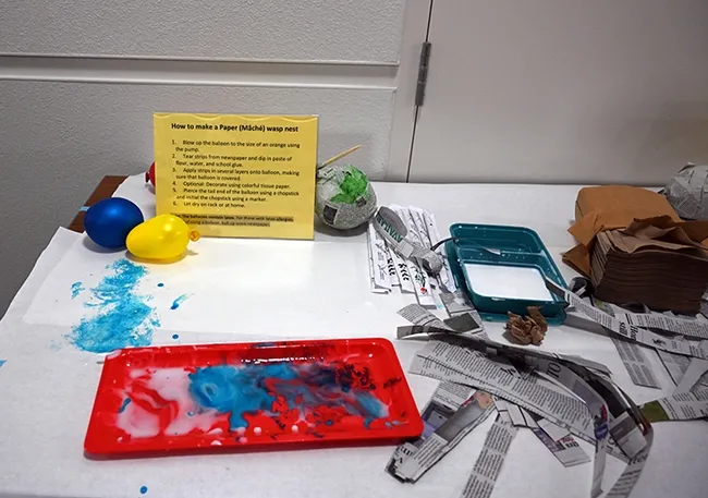 Bohart Museum of Entomology set out instructions on how to make a paper mache wasp nest. (Photo by Kathy Keatley Garvey)