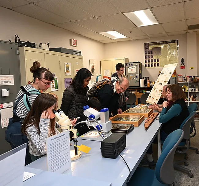 Bohart associate and entomologist Sandy Shanks (right) and researcher and retired senior museum scientist Steve Heydon (partially hidden) answer questions about Hymenoptera. (Photo by Kathy Keatley Garvey)