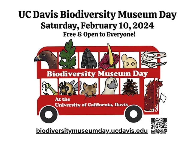 Passengers on a double-decker bus represent the museums and collections on a double-decker bus. The original art is by Ivana Li, with UC Davis student Caitlen Comendant colorizing it and updating it.