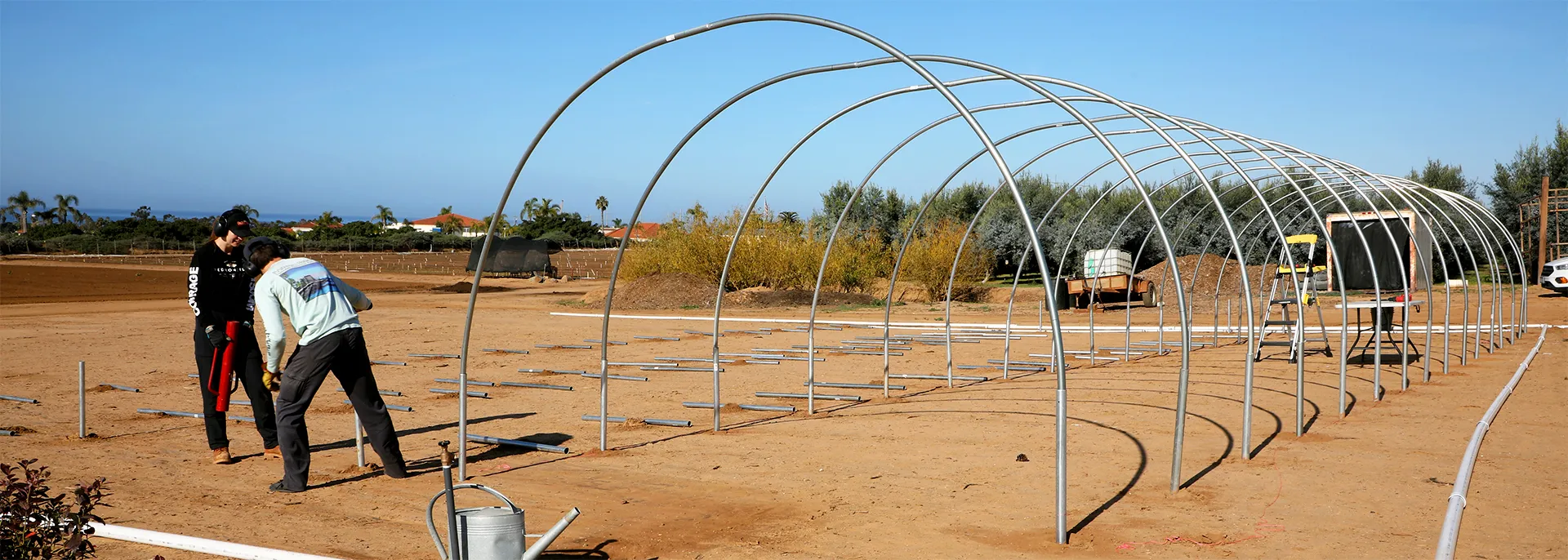 Small Scale Urban Agriculture Project