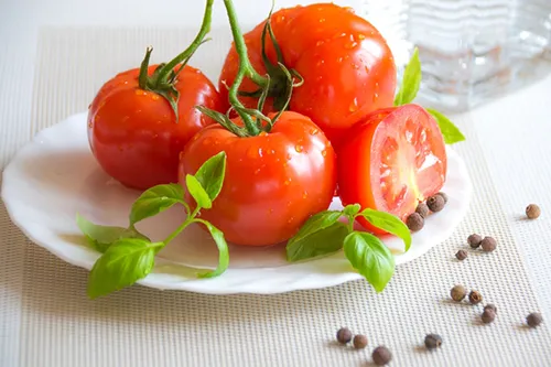 Healthy Tomatoes_UCANR