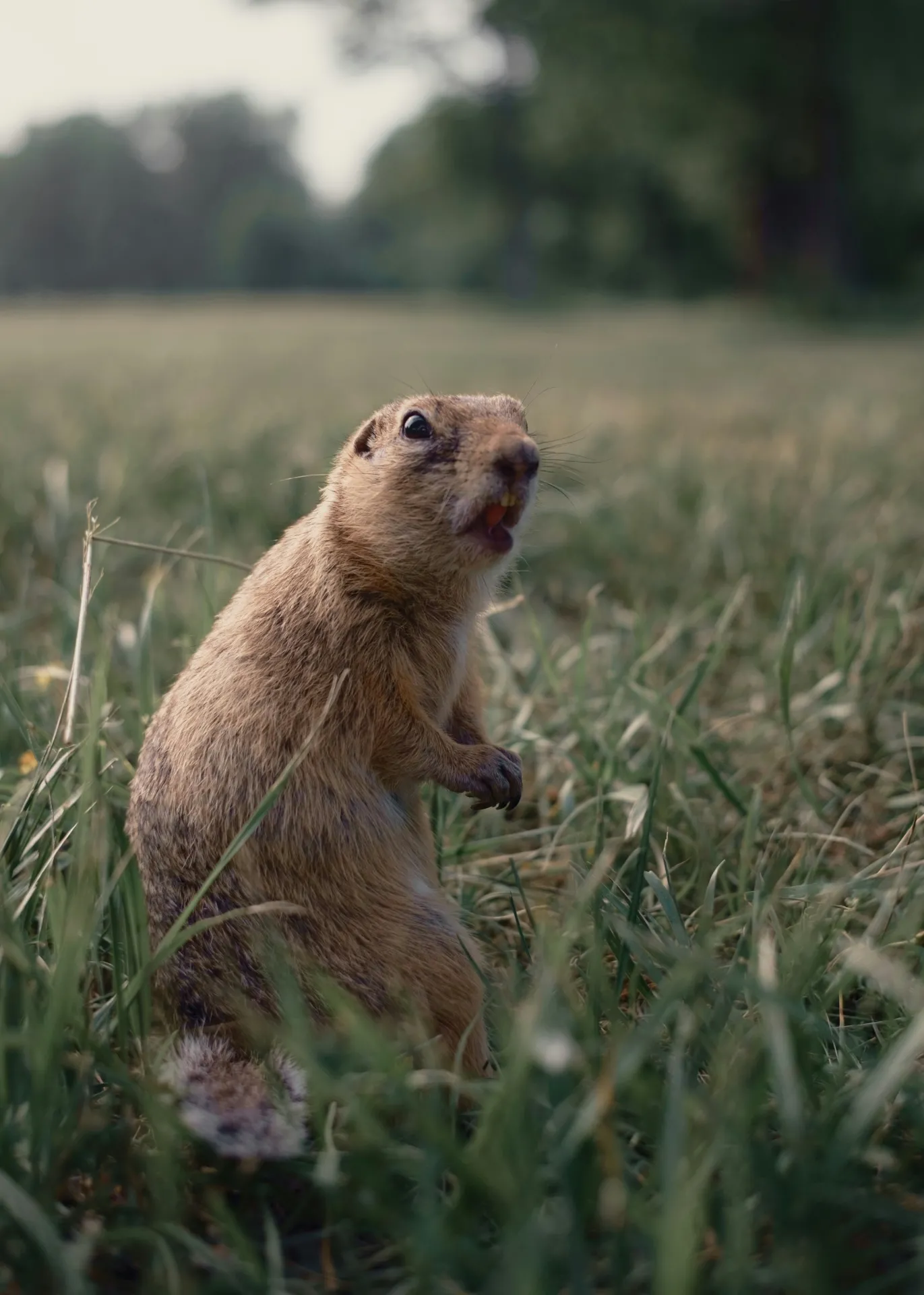 stas-ostrikov-EsHZzrJ41S0-unsplash