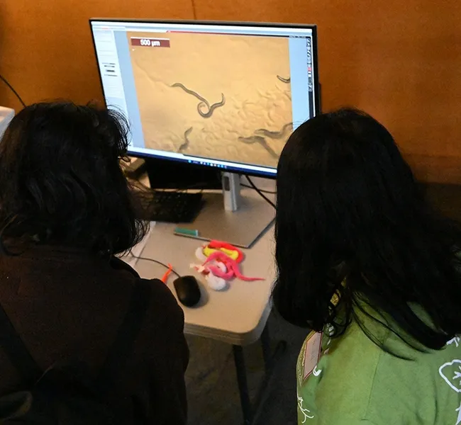Nematode Collection. Visitors learning about nematodes, aka roundworms. (Photo by Kathy Keatley Garvey)