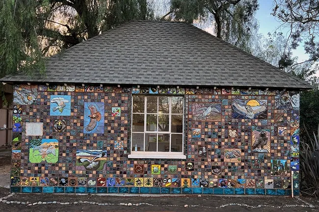 This is the newly installed mural, "Bird's Eye View," which visitors to the California Raptor Center, UC Davis campus, can see during the UC Davis Biodiversity Museum Day on Saturday, Feb. 10. (Photo by Diane Ullman, UC Davis distinguished professor of entomology and artist)