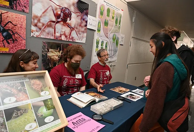Professor and ant specialist Phil Ward and lab members answer question about ants. With him are doctoral candidate Ziv Lieberman and research assistant Brittany Kohler, who seeks to enroll as a doctoral student at UC Davis. (Photo by Kathy Keatley Garvey)