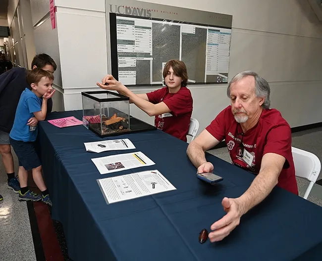 Steve Heydon (foreground), retired Bohart Museum collections manager, with a Madagascar hissing cockroach. In back is intern Andrew Logan. (Photo by Kathy Keatley Garvey)
