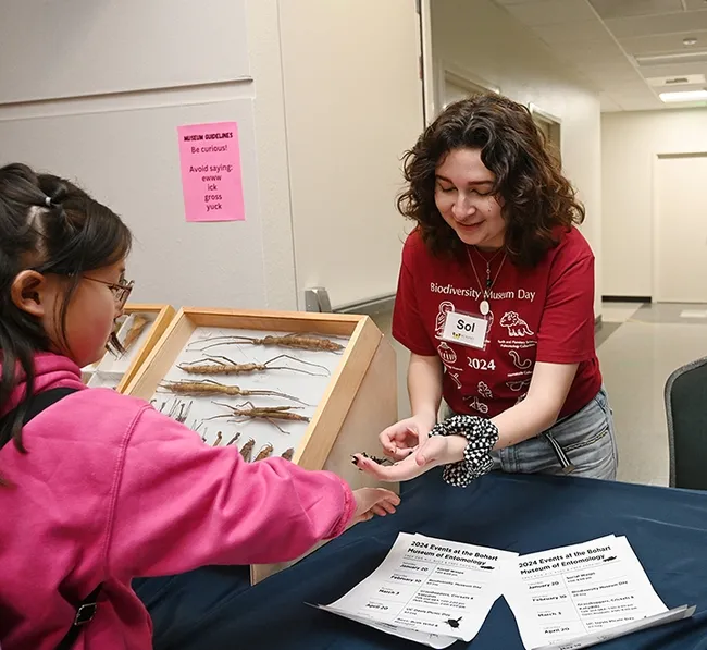 UC Davis student and Bohart associate Sol Wantz, president of the UC Davis Entomology Club, shares a stick insect. (Photo by Kathy Keatley Garvey)