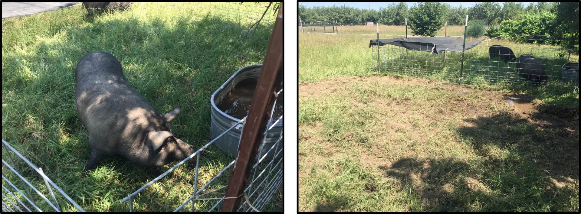 2017-07-22 11.46.04 before and after