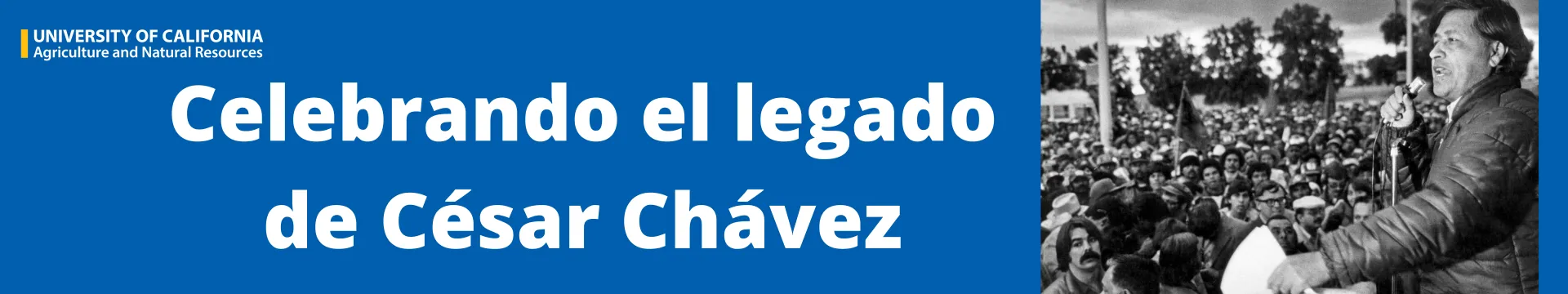 Banner HHM 2023 (80 x 15 in)