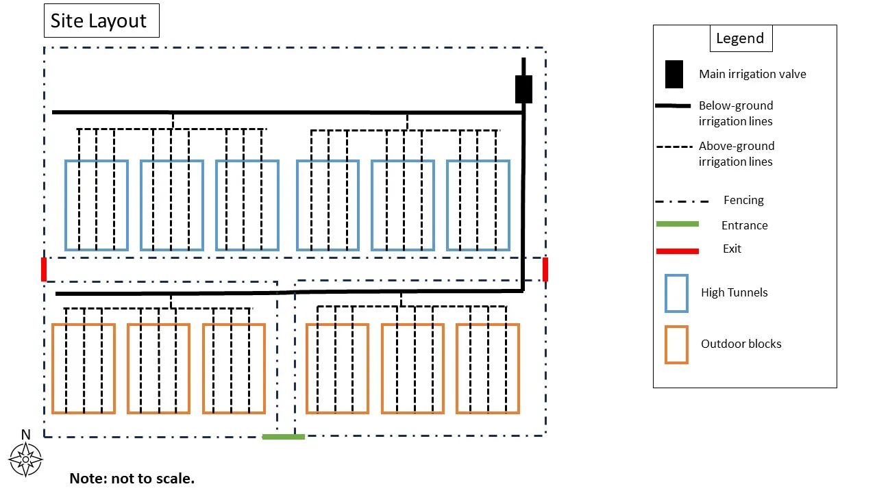 Site Layout - for paper
