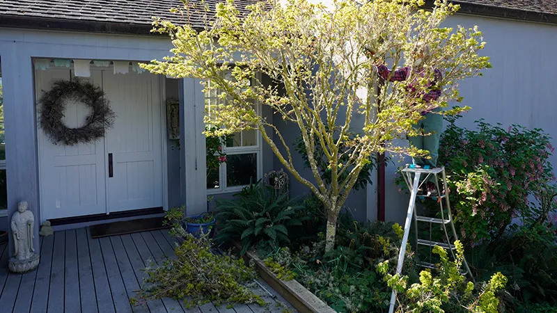 Photo by: Pam Noensie