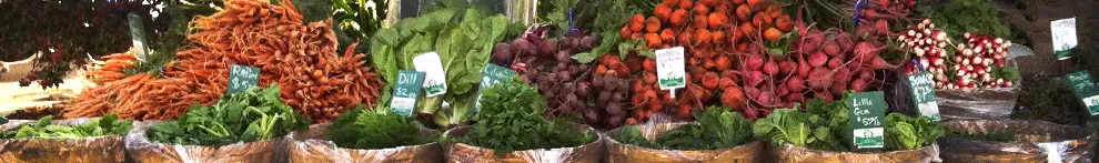 Vegetable header-161