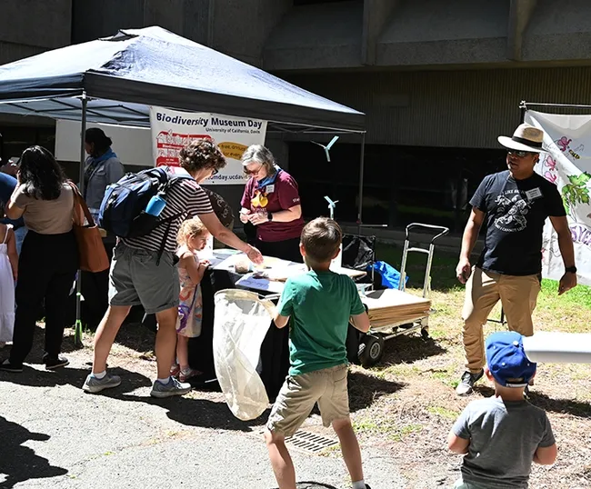 Bohart Museum graduate student and researcher Socrates Letana tosses paper butterflies to the net holders, as Professor Fran Keller (background) of Folsom Lake College staffs the California butterfly table. (Photo by Kathy Keatley Garvey)