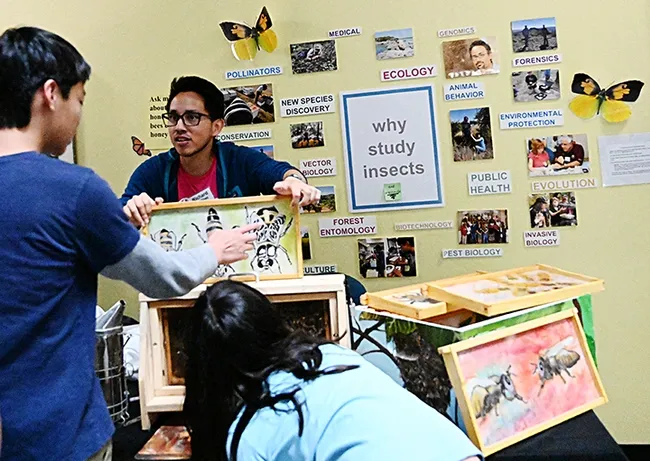 UC Davis entomology graduate student explains how to identify the queen, male and the worker bees. (Photo by Kathy Keatley Garvey)