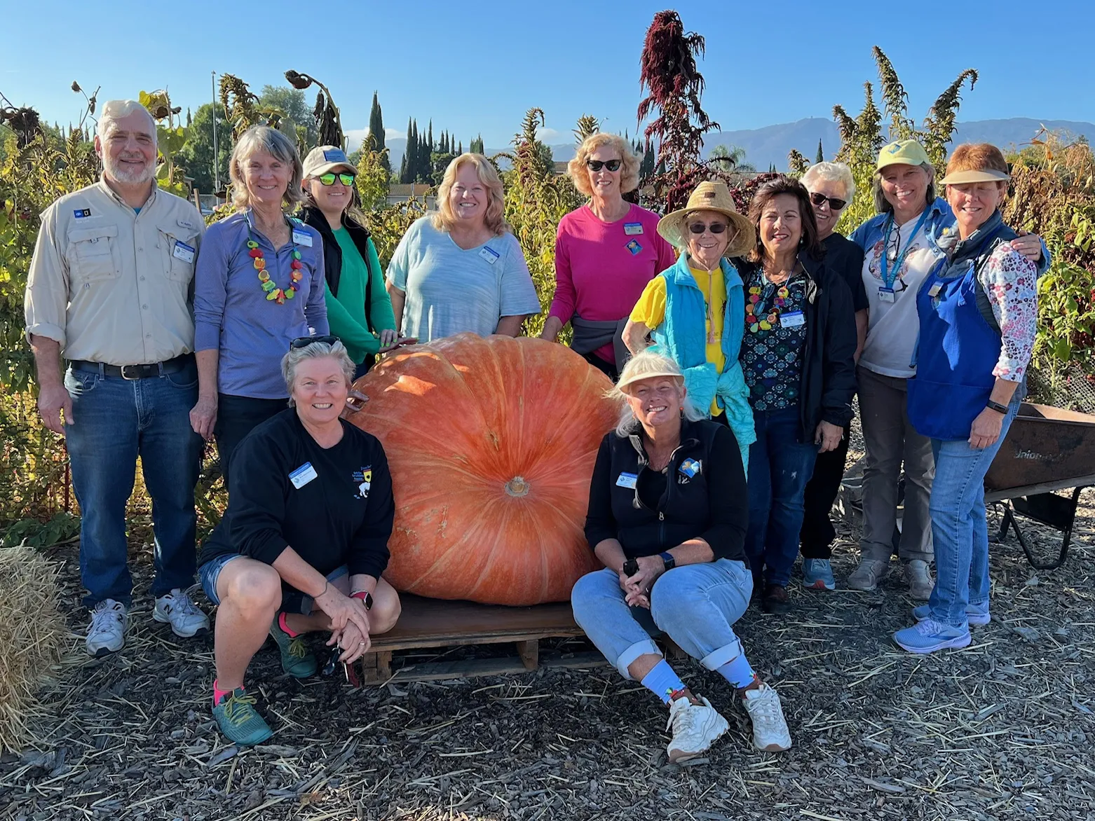 A group of twelve master gardeners poses around a large orange pumpkin on a pallet in a sunny garden, surrounded by greenery and mountains in the background.
