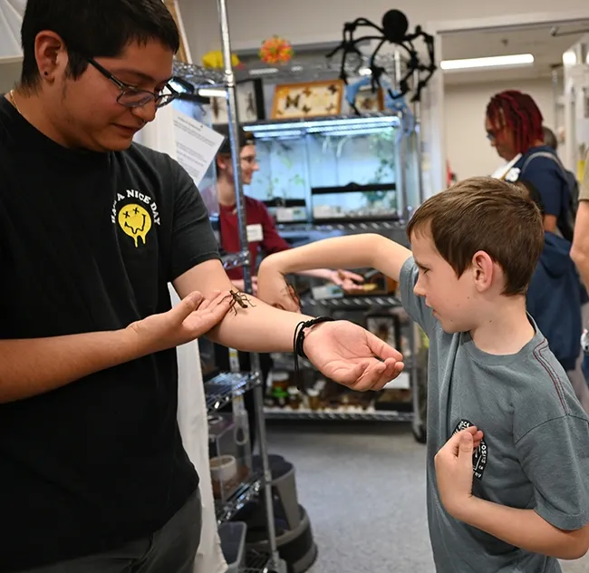 UC Davis animal biology major Jakob Lopez shows a stick insect to Hunter Baker, 8. (Photo by Kathy Keatley Garvey)