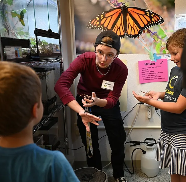 UC Davis entomology major Oliver Smith eagerly shows a stick insect to a youngster. (Photo by Kathy Keatley Garvey)