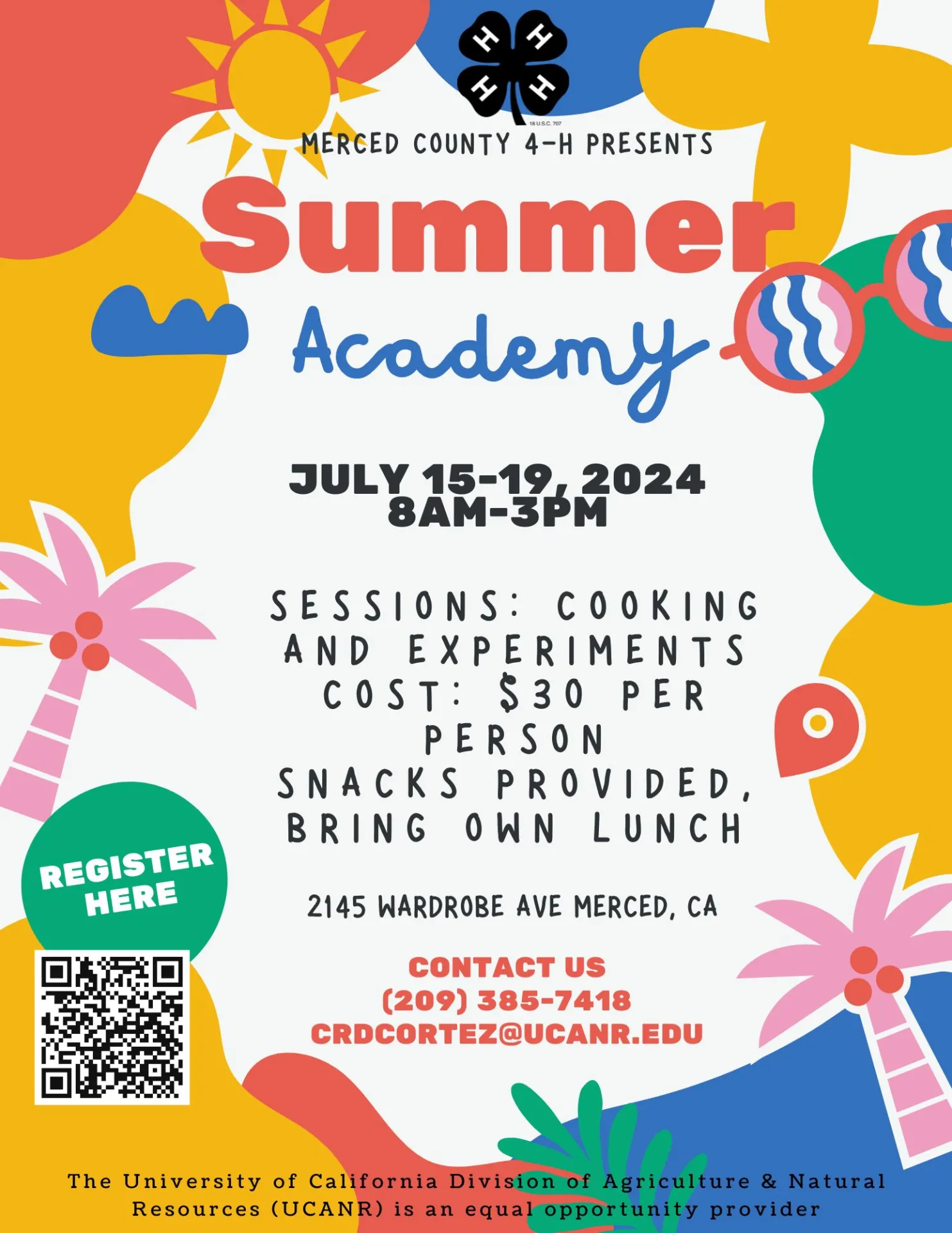 Summer Academy2024 Flyer