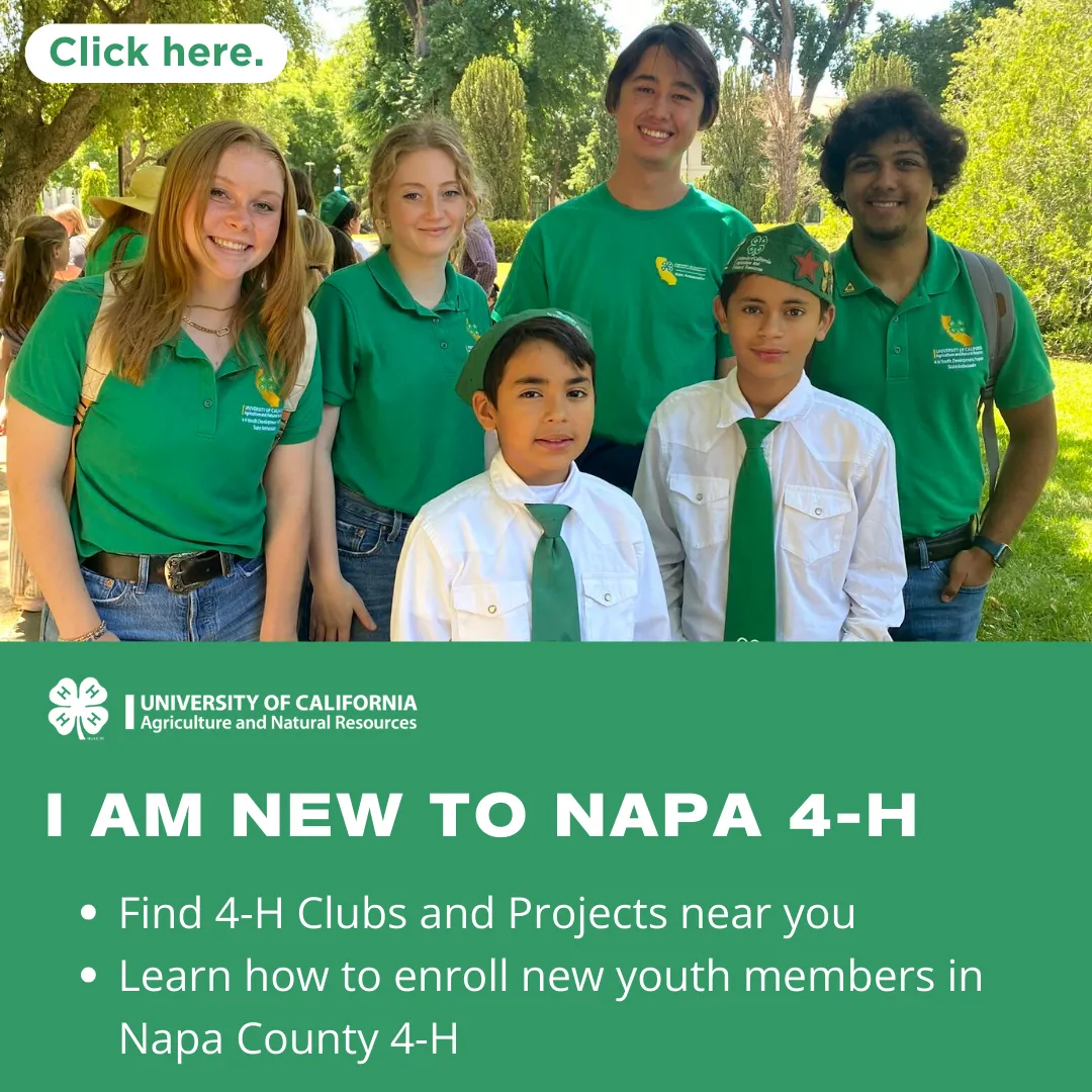 New to 4-H