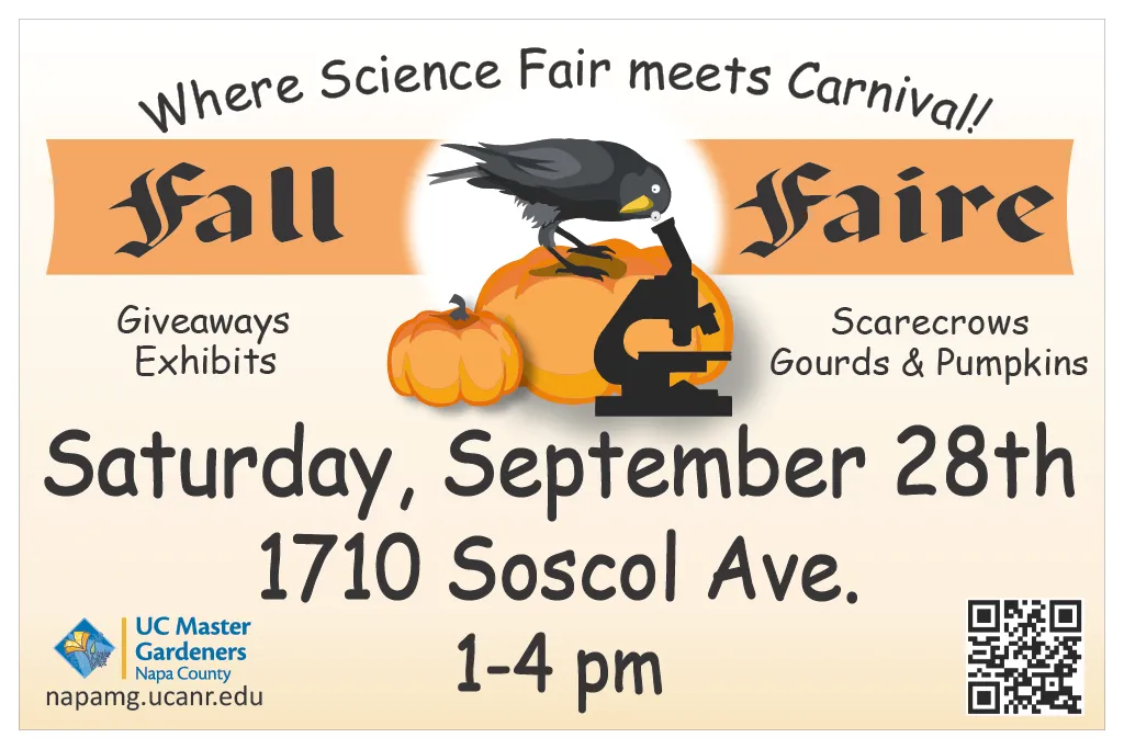 Fall Faire Banner 2024