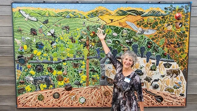 UC Davis distinguished professor Diane Ullman, 29 years of service. (Photo by Jael Mackendorf)