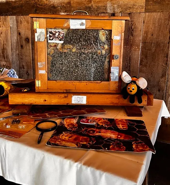 This is the bee observation hive that Ettamarie Peterson, known as the "Queen Bee of Sonoma County," will display at the children's party.