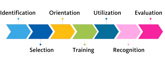 ISOTURE Model: Identification, Selection, Orientation, Training, Utilization, Recognition, and Evaluation