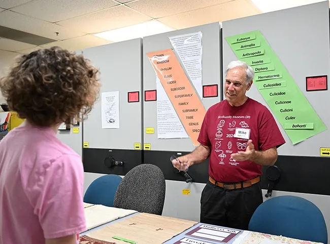 Bohart Museum associate Michael Pitcairn, retired from the California Department of Food and Agriculture, answers questions about silkworm moths and textiles. (Photo by Kathy Keatley Garvey)