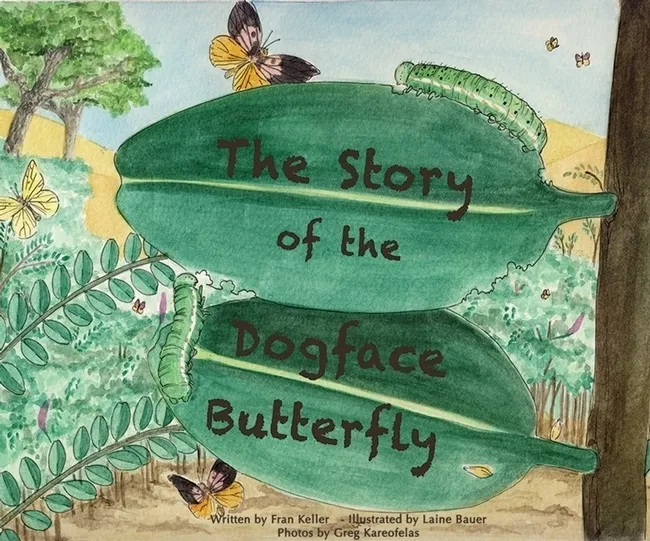 A 35-page children's book, "The Story of the Dogface Butterfly," is authored by UC Davis doctoral alumna Fran Keller, a professor at Folsom Lake College and a Bohart research scientist.