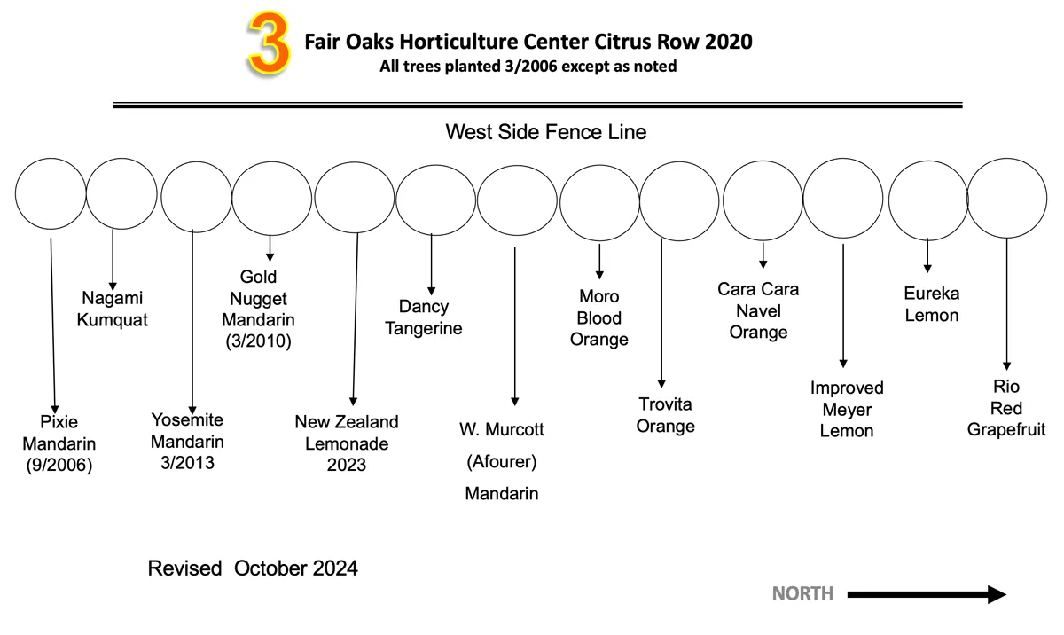 Citrus (click to enlarge)