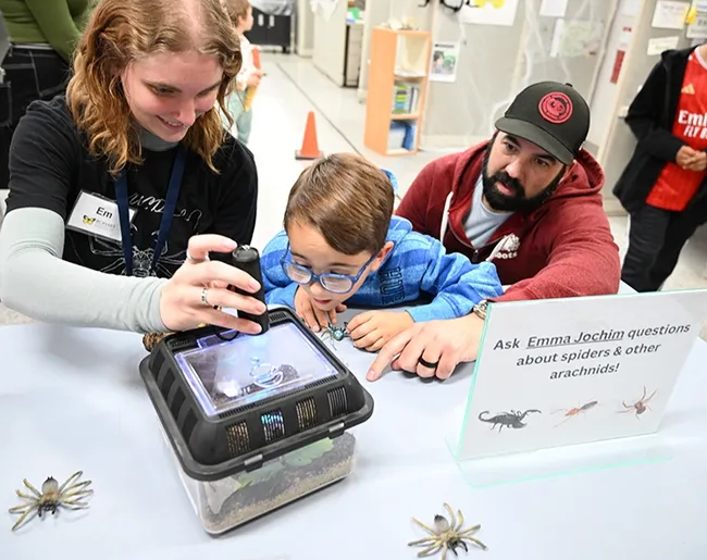 Placerville residents Sullivan Lowe, 6, and his father, Ron Lowe watch as UC Davis doctoral candidate Emma "Em" Jochim fluoresces a tarantula with ultraviolet (UV) light. Sullivan is holding a plastic spider that Jochim gave him. (Photo by Kathy Keatley Garvey)