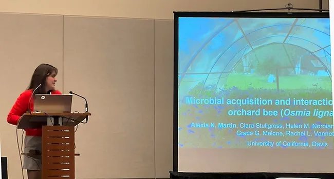 UC Davis doctoral candidate Lexie Martin of the Rachel Vannette lab presenting her work on "Microbial Acquisition and Interactions in the Blue Orchard Bee (Osmia lignaria)"