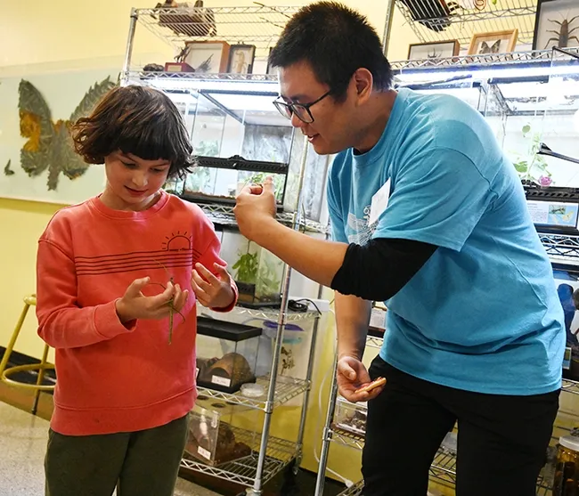 Bohart Museum of Entomology volunteer Kaitai Liu, a UC Davis entomology major, introduces an open house visitor, Eden Jett, 7, of Berkeley, to a stick insect. Eden has her sights set on becoming an entomologist. She and her mother, Peg, brought dragonfly cookies to a 2022 open house themed "Dragonflies and Spiders." (Photo by Kathy Keatley Garvey)