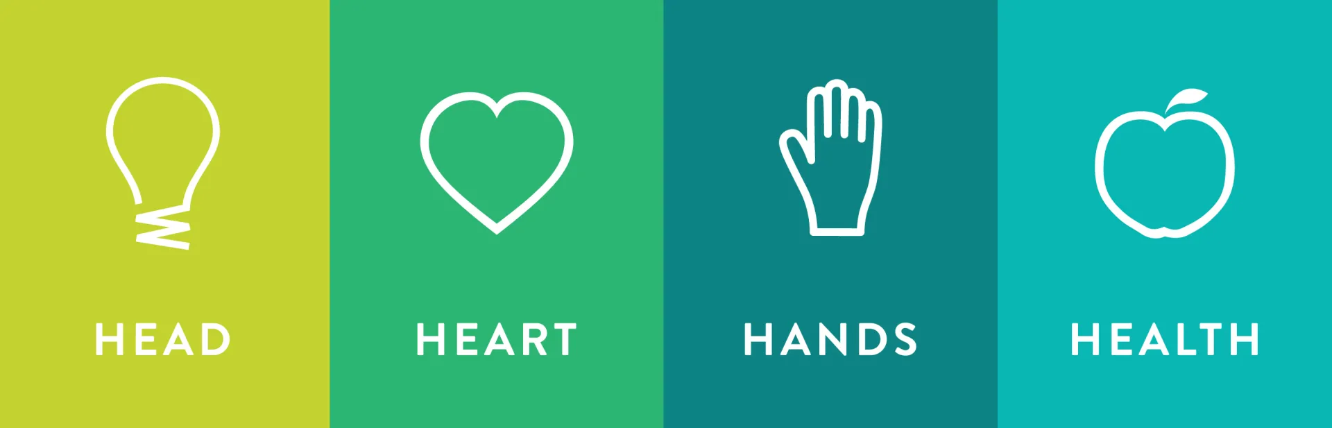 Head Heart Hands Health