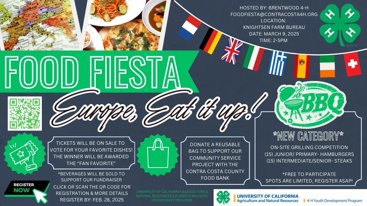 FOOD FIESTA FLYER 2025
