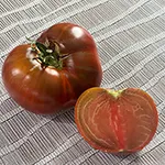 Chef's Choice Black_UCMG of CCC