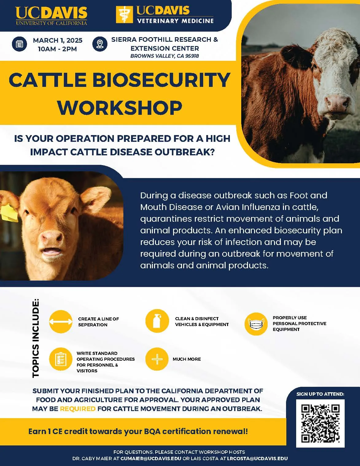 Biosecurity cattle flyer