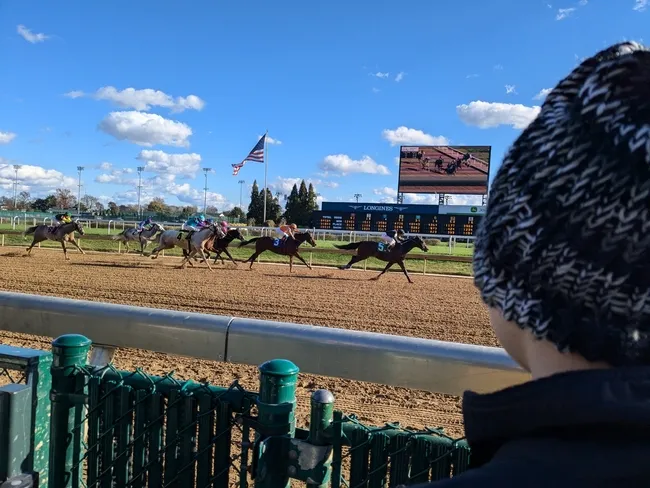 Youth watching horse racing on a track