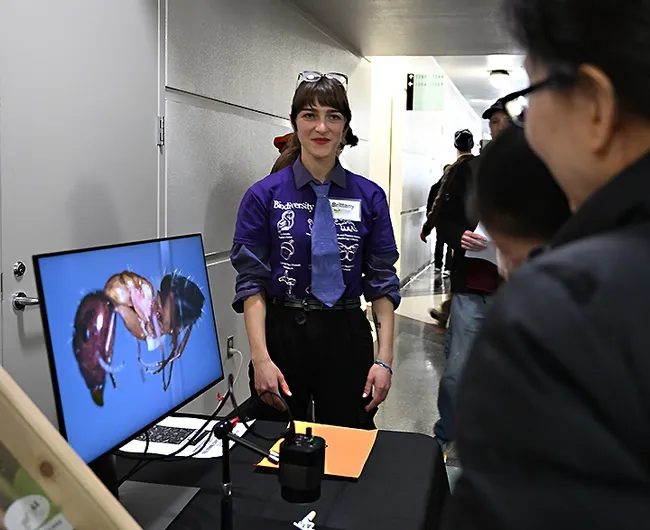 UC Davis alumna Brittany Kohler, a research assistant in the Phil Ward lab, greets guests at the ant booth. She seeks to enroll in graduate school. (Photo by Kathy Keatley Garvey)
